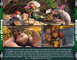 LES CROODS